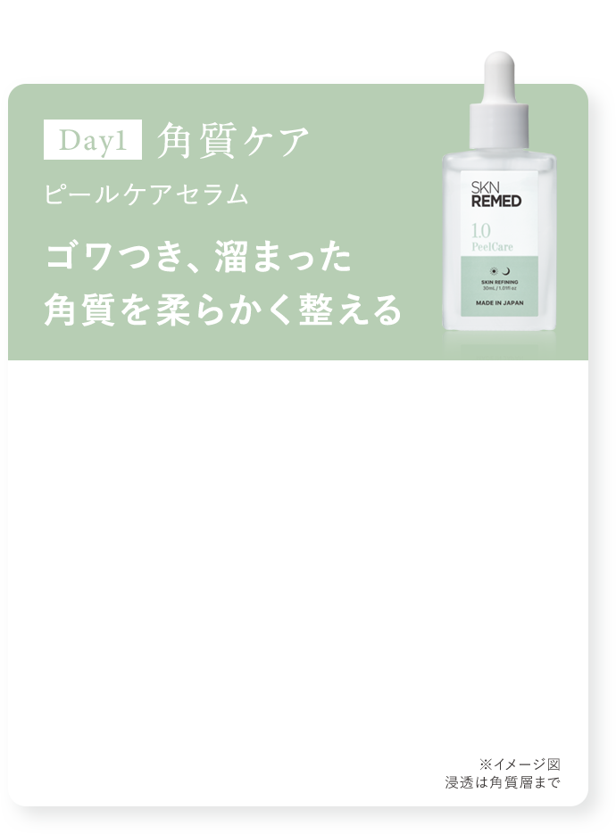 Day1 角質ケア ピールケアセラム ゴワつき、溜まった角質を柔らかく整える ※イメージ図 浸透は角質層まで