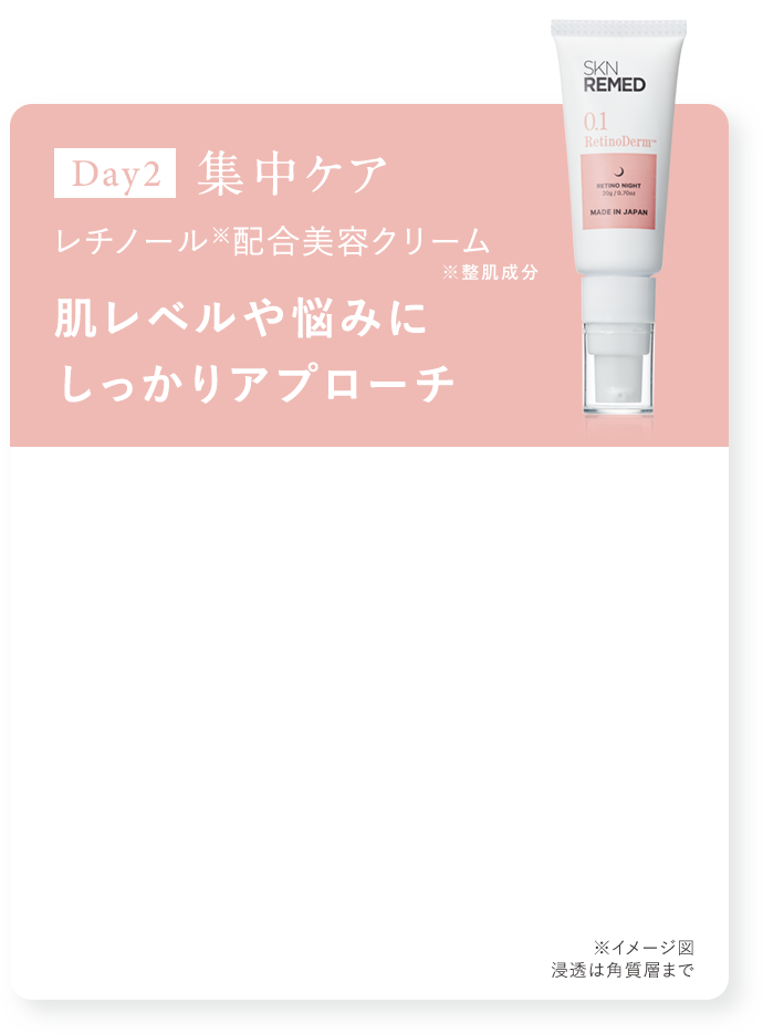 Day2 集中ケア レチノール※配合美容クリーム ※整肌成分 肌レベルや悩みにしっかりアプローチ ※イメージ図 浸透は角質層まで