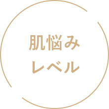 肌悩みレベル