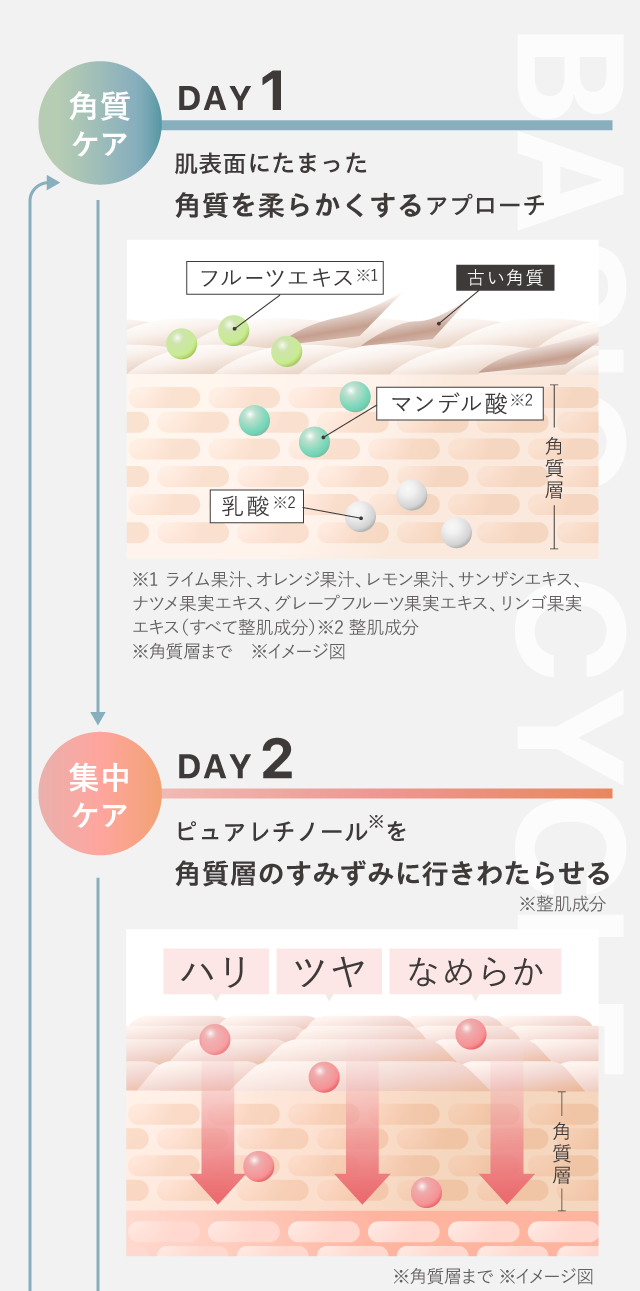 まずは12日間（４サイクル）ベーシックサイクルで肌を慣らします