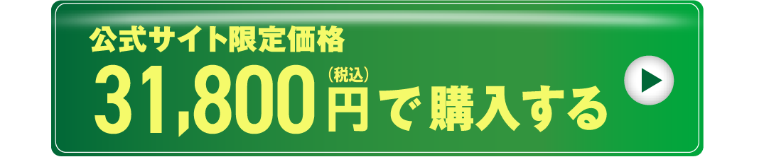 29,800円で購入する