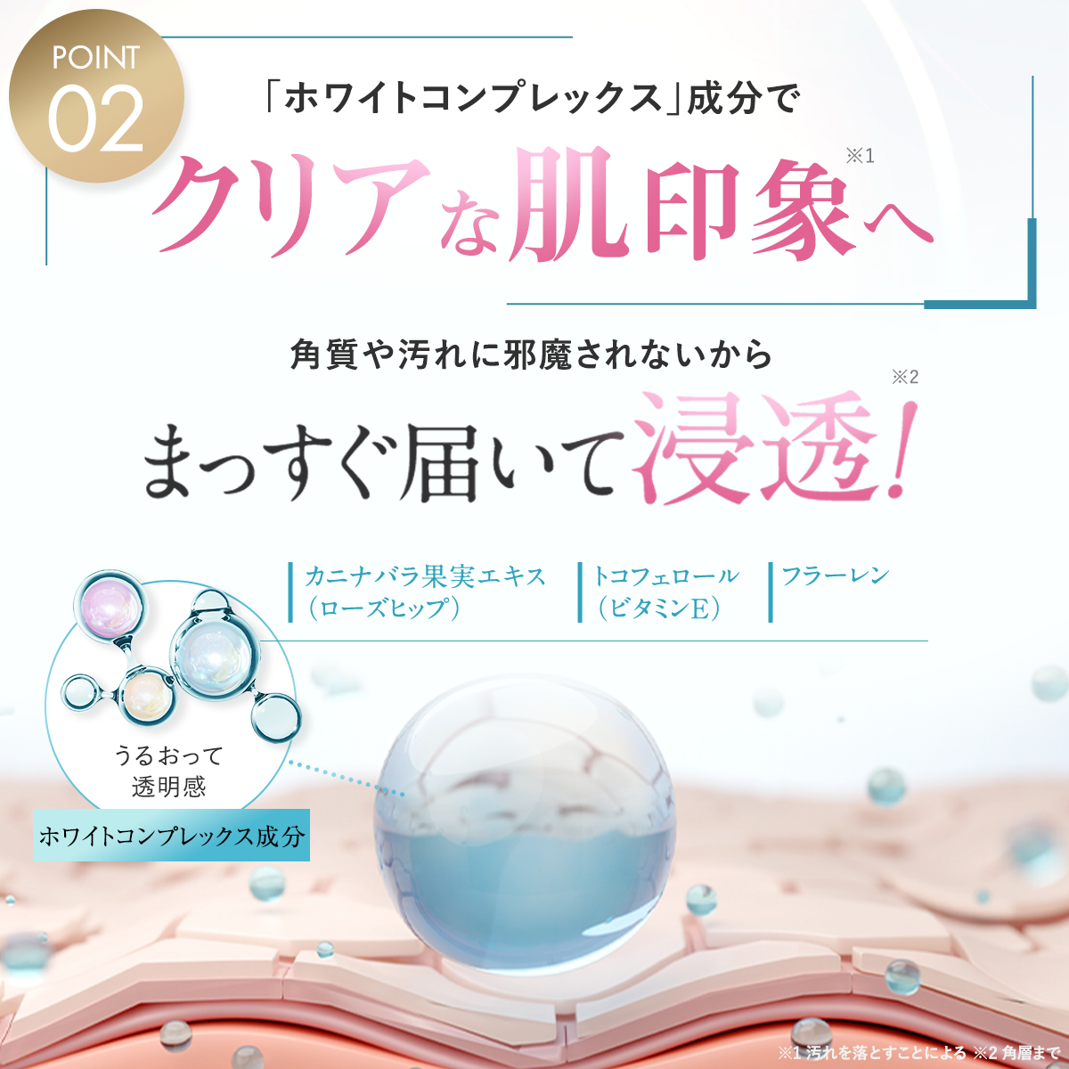  ポアクリアセラム（単品）