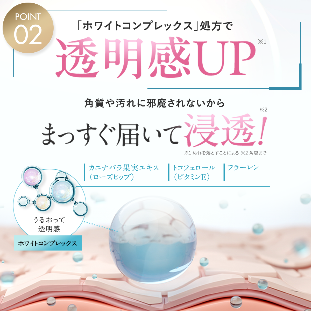  ポアクリアセラム（単品）