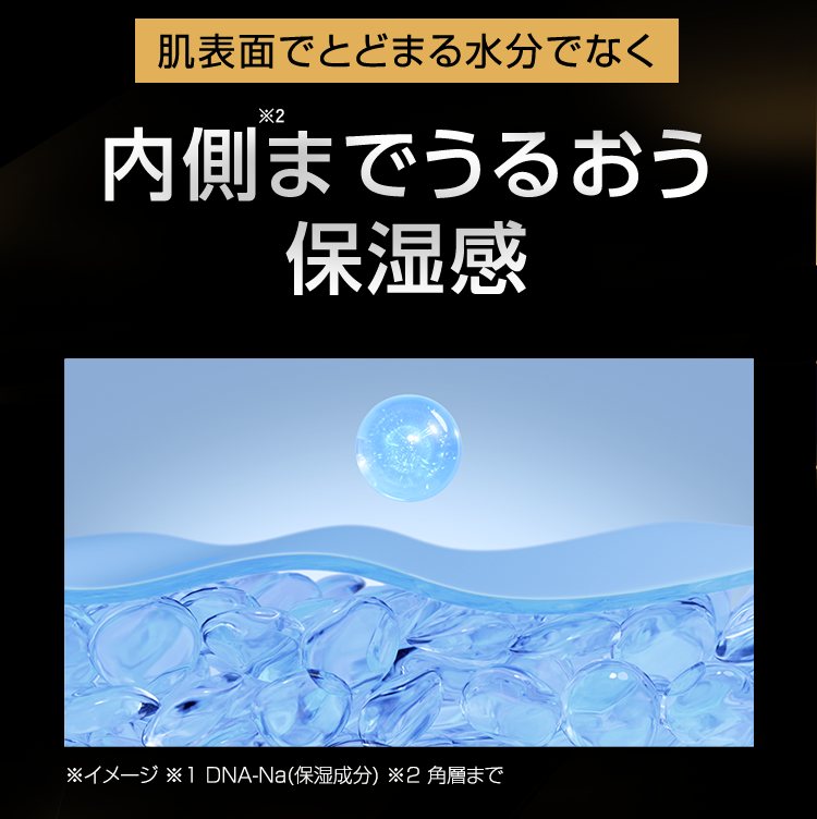 肌表面でとどまる水分でなく 内側※2までうるおう保湿感 ※1 DNA－Na（保湿成分） ※2 角層まで ※イメージ