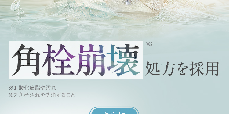 角栓崩壊※2処方を採用 ※1 酸化皮脂や汚れ ※2 角栓汚れを洗浄すること