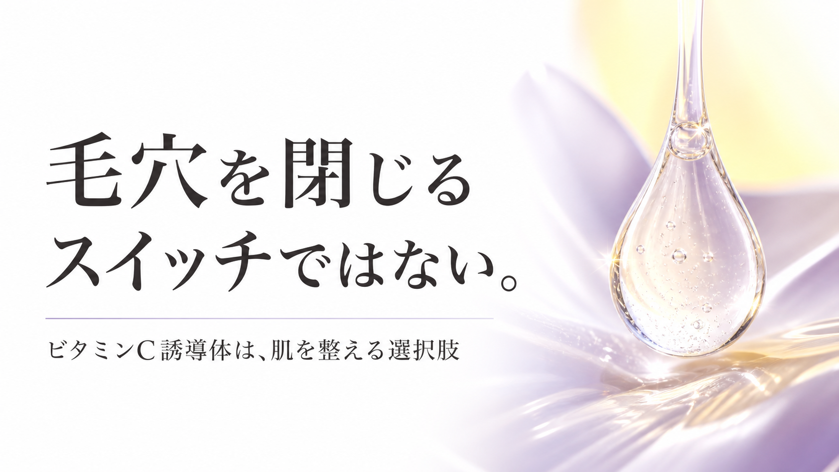 tri-012 画像4