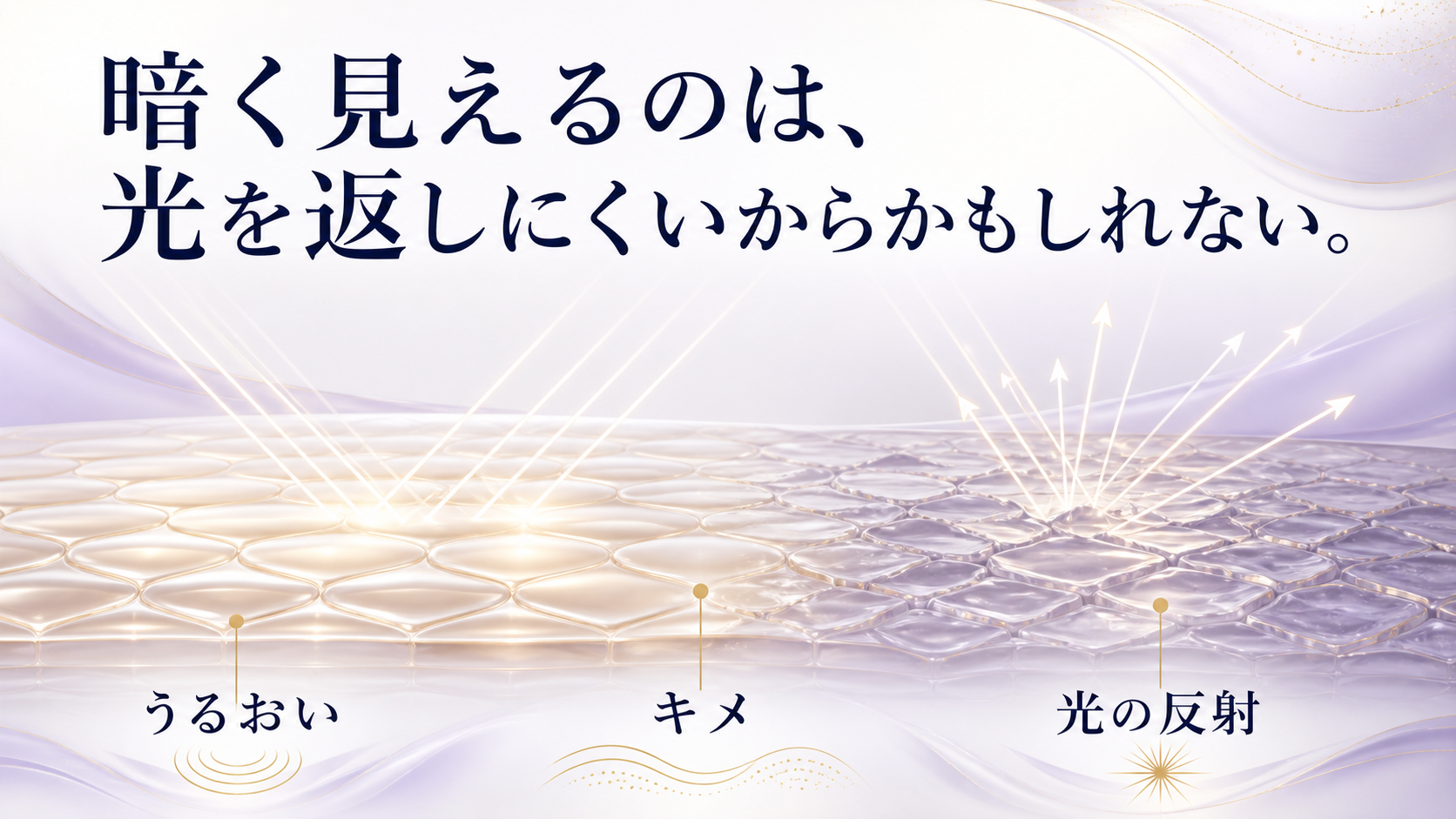 tri-076 画像2