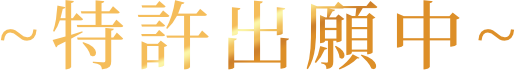 特許出願中