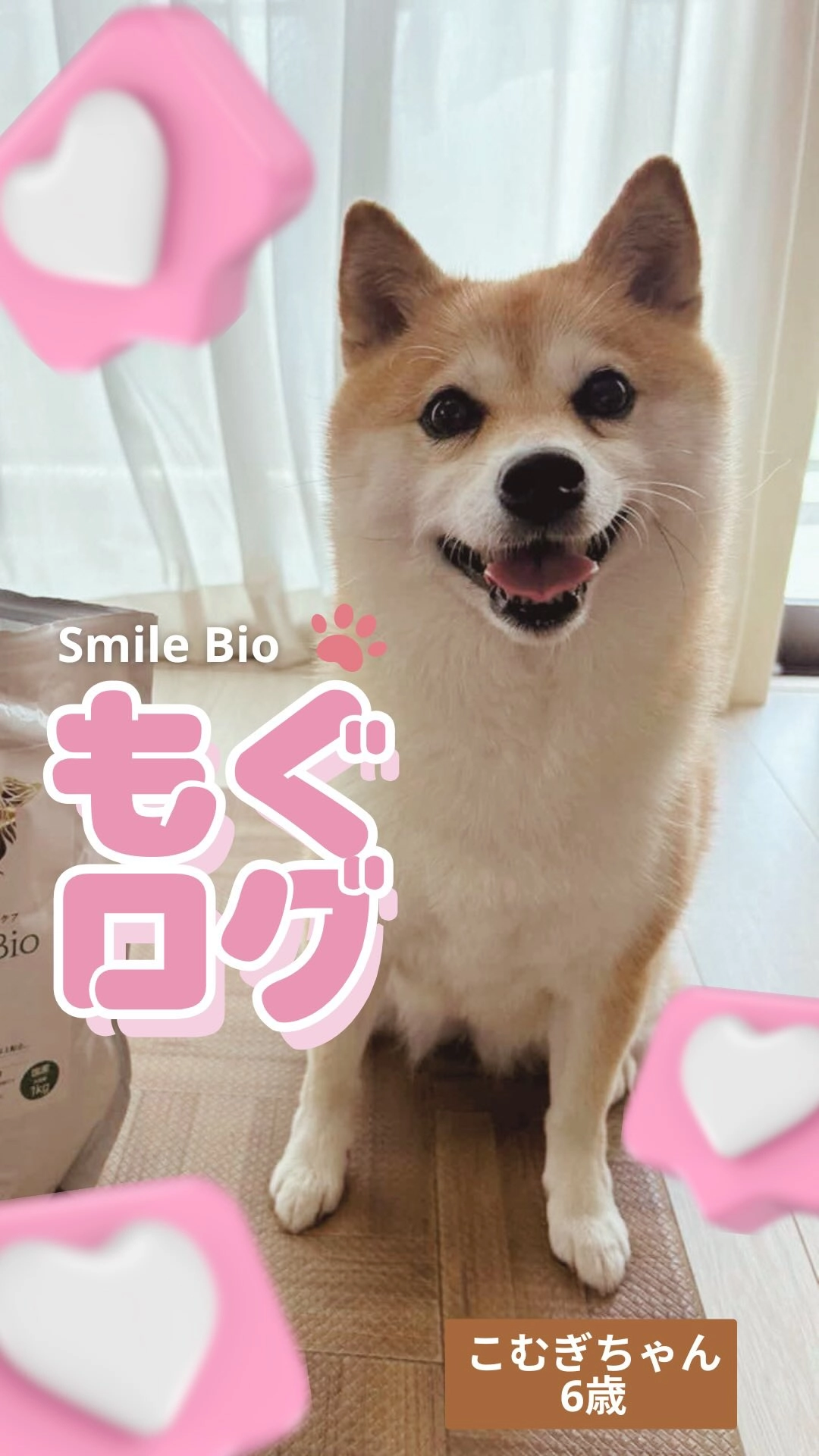もぐログ - Smile Bioを美味しく食べるユーザーの愛犬の動画サムネイル