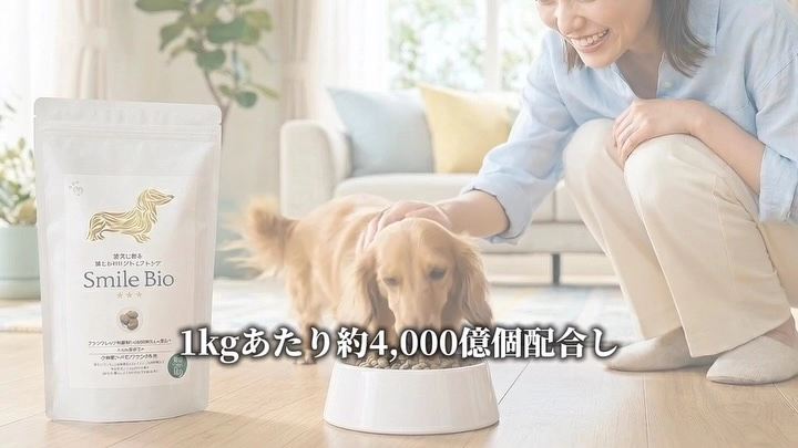 Smile Bioに配合している乳酸菌「KT-11」は腸内環境だけでなくお口の健康維持にも着目して選んだ乳酸菌です。