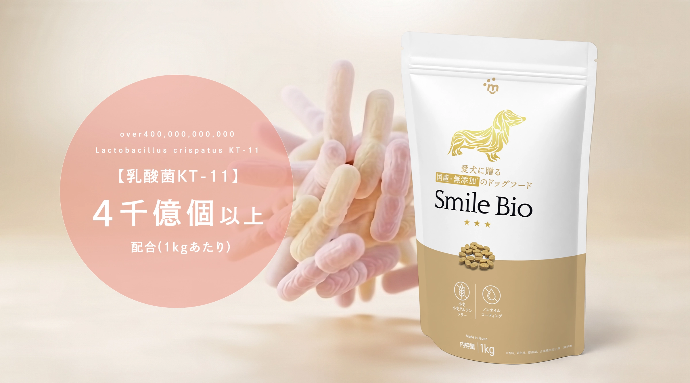 乳酸菌KT-11を4,000億個以上配合したSmile Bio