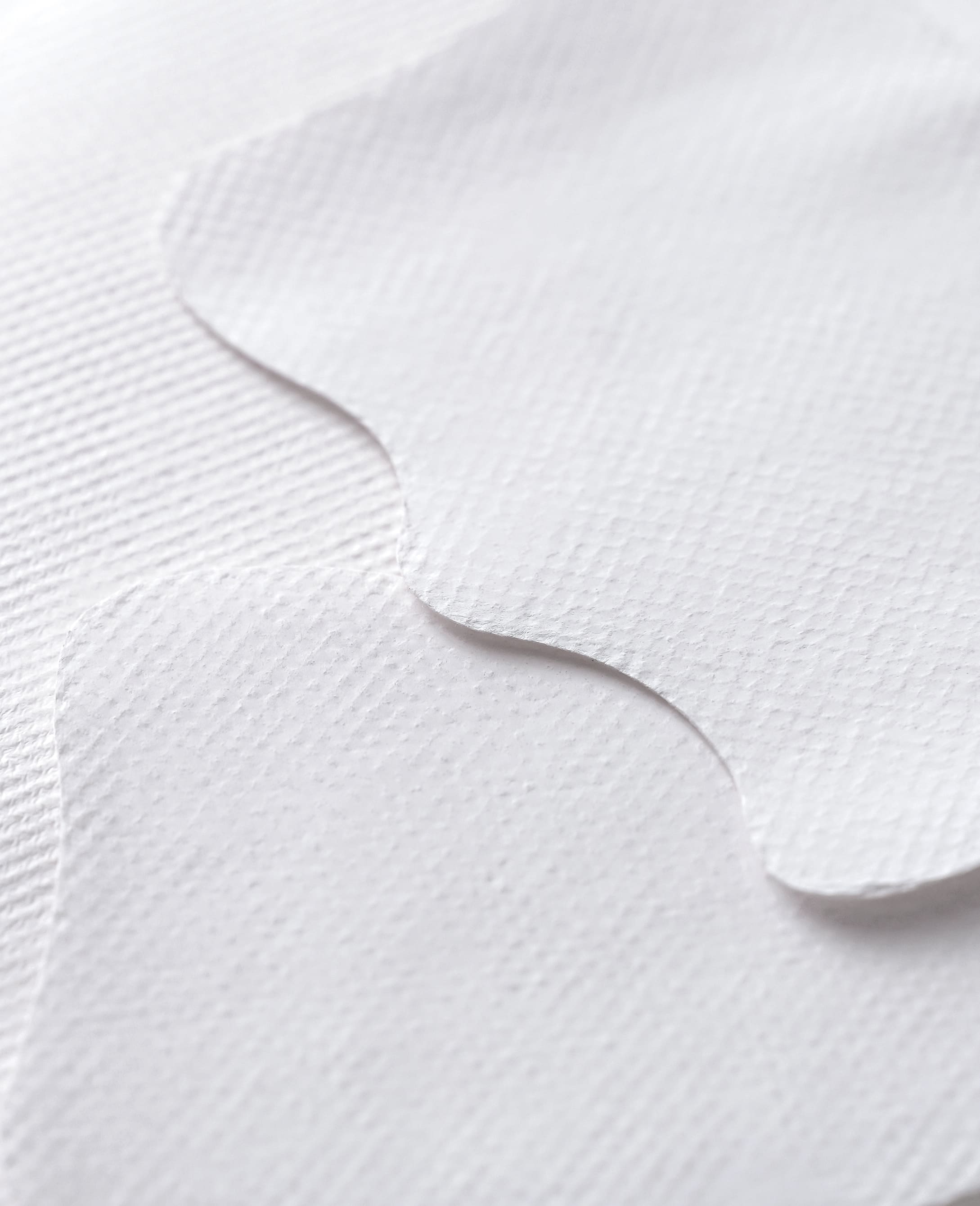 Snoa限定特別定期セット