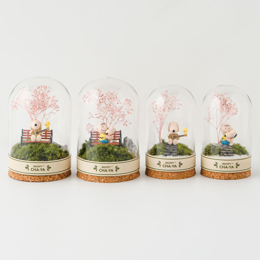 SNC 花見テラリウム小 ：デザイン: スヌーピー＆チャーリーブラウン