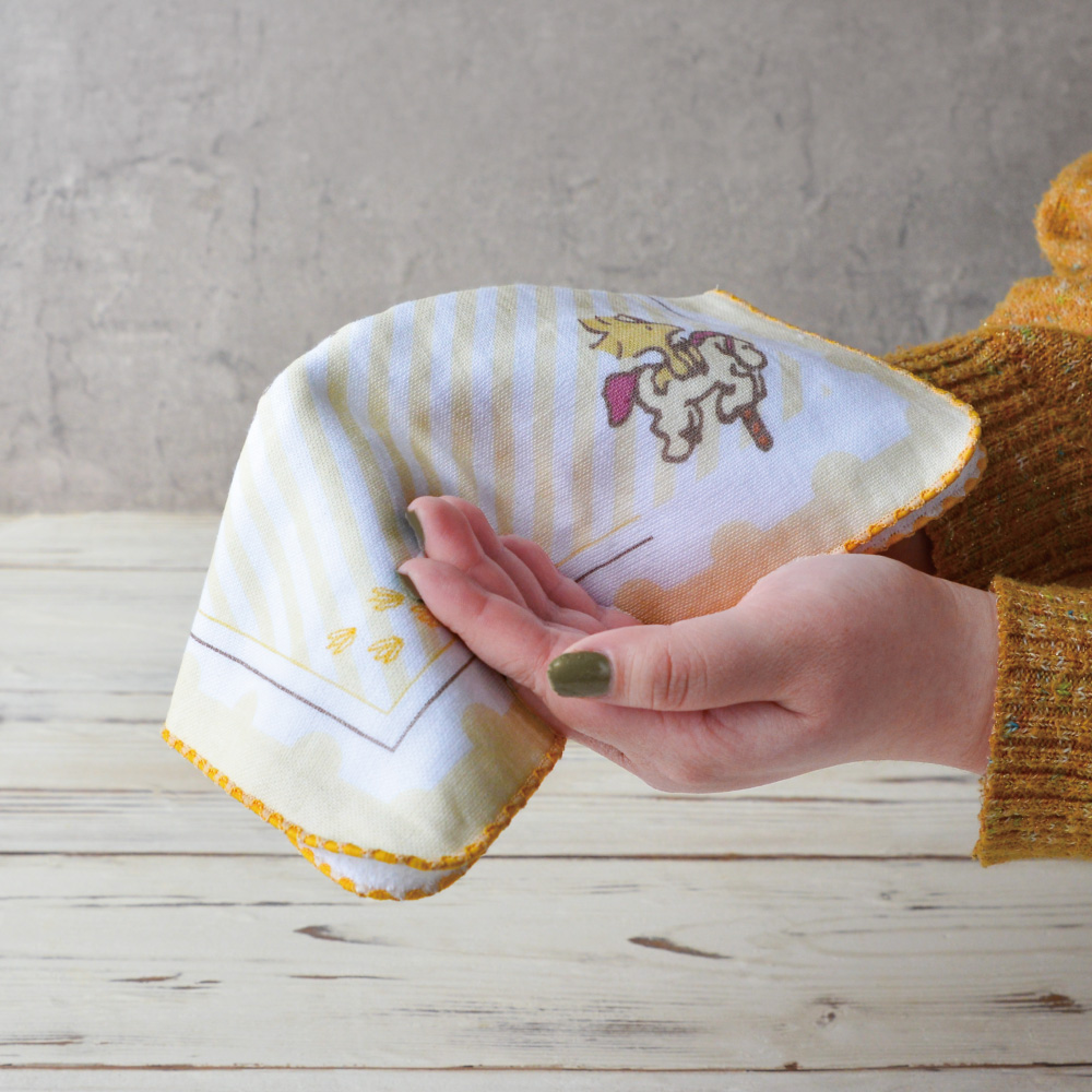 WSN ガーゼハンカチ ：テーマ: 遊園地