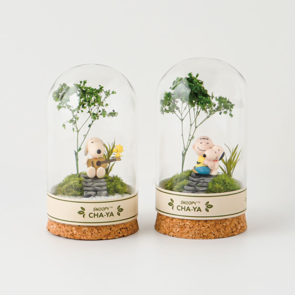 SNC 木漏れ日テラリウム小 ：デザイン: スヌーピー＆チャーリーブラウン