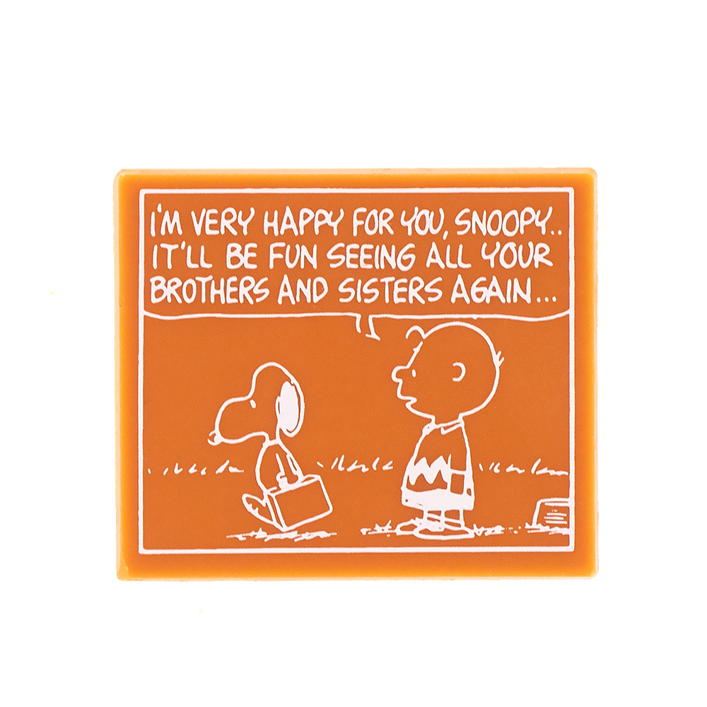 SC タブレット 家族愛 マンゴー風味