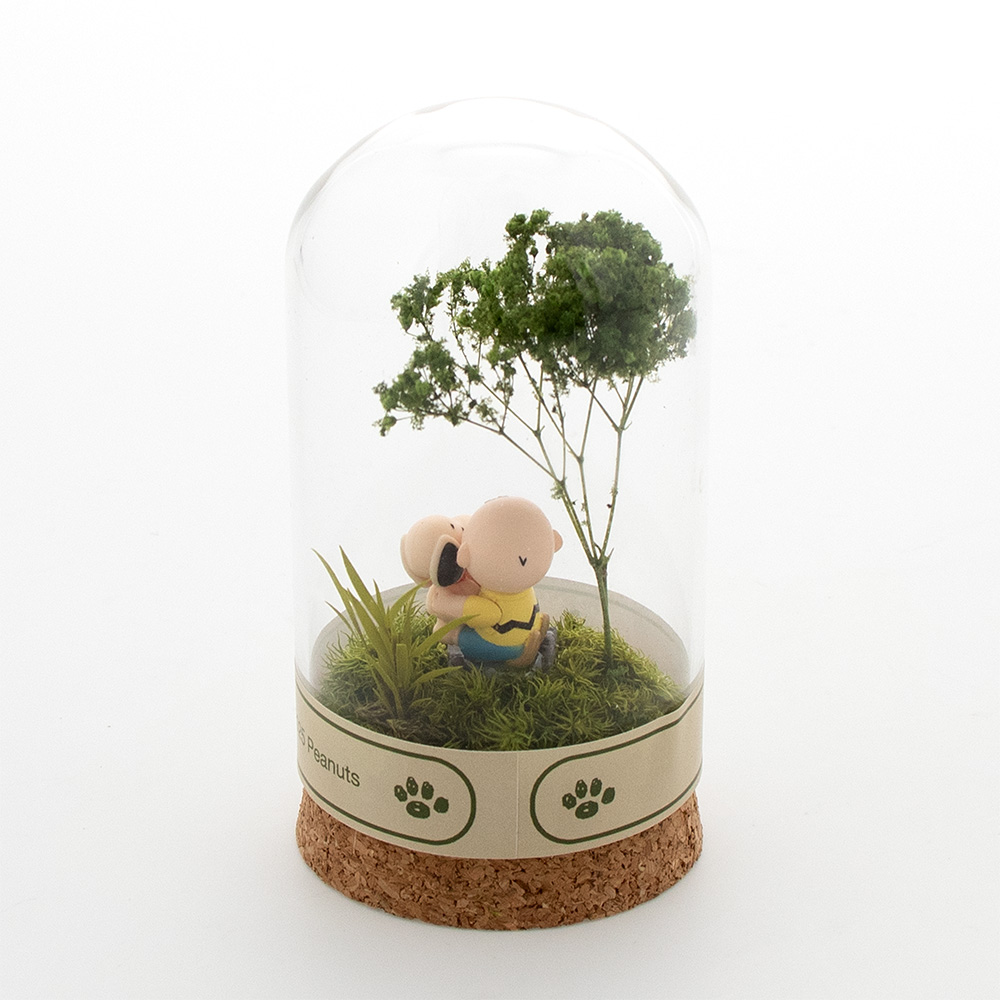 SNC 木漏れ日テラリウム小 ：デザイン: スヌーピー＆チャーリーブラウン