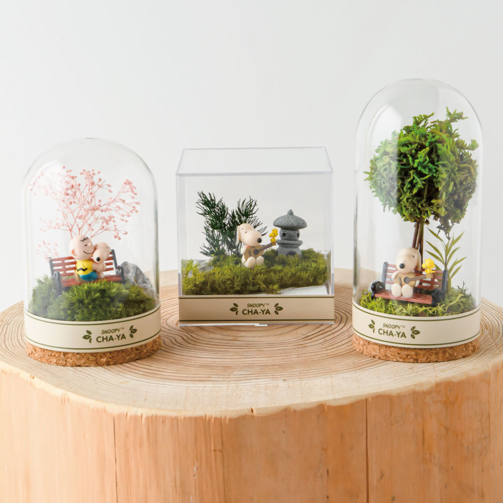 SNC 木漏れ日テラリウム大 ：デザイン: スヌーピー＆チャーリーブラウン