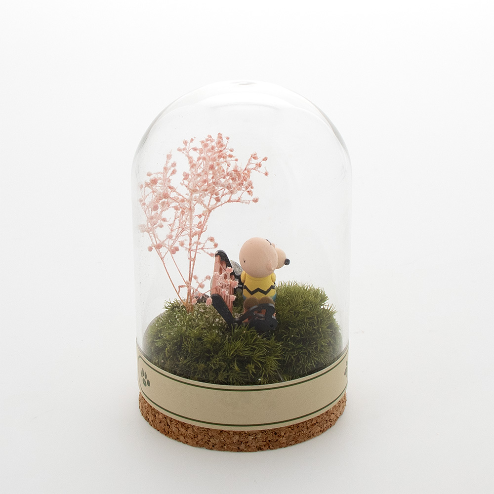 SNC 花見テラリウム大 ：デザイン: スヌーピー＆チャーリーブラウン