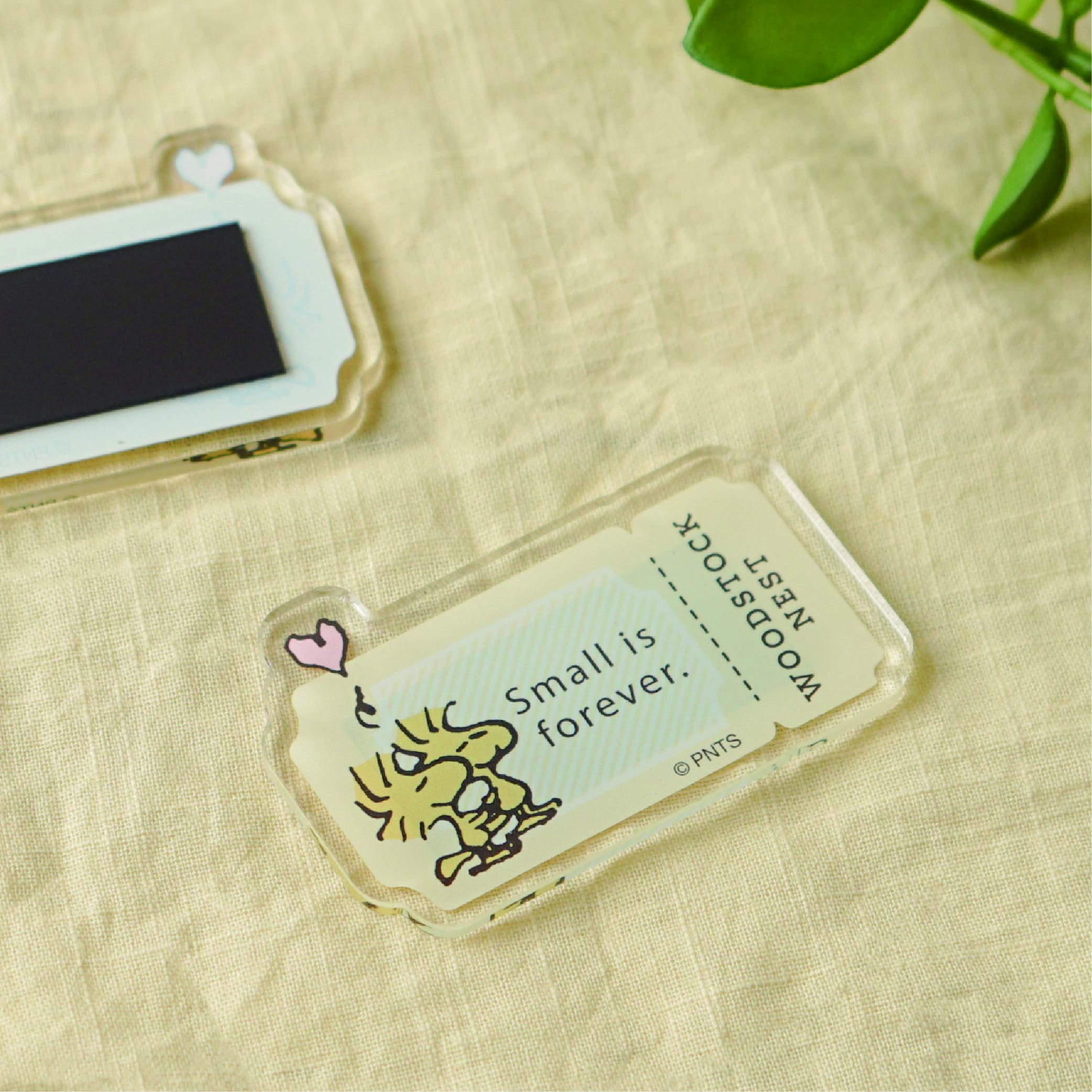 WSN アクリルマグネット 永遠