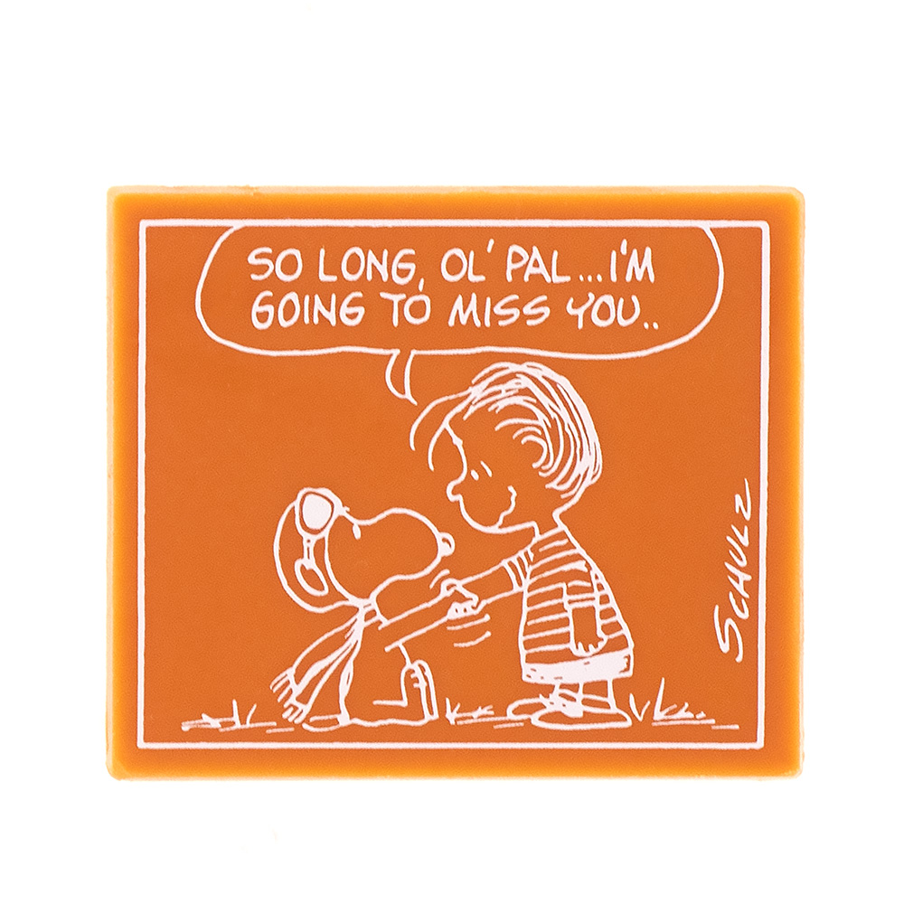 SC タブレット 友情 マンゴー風味