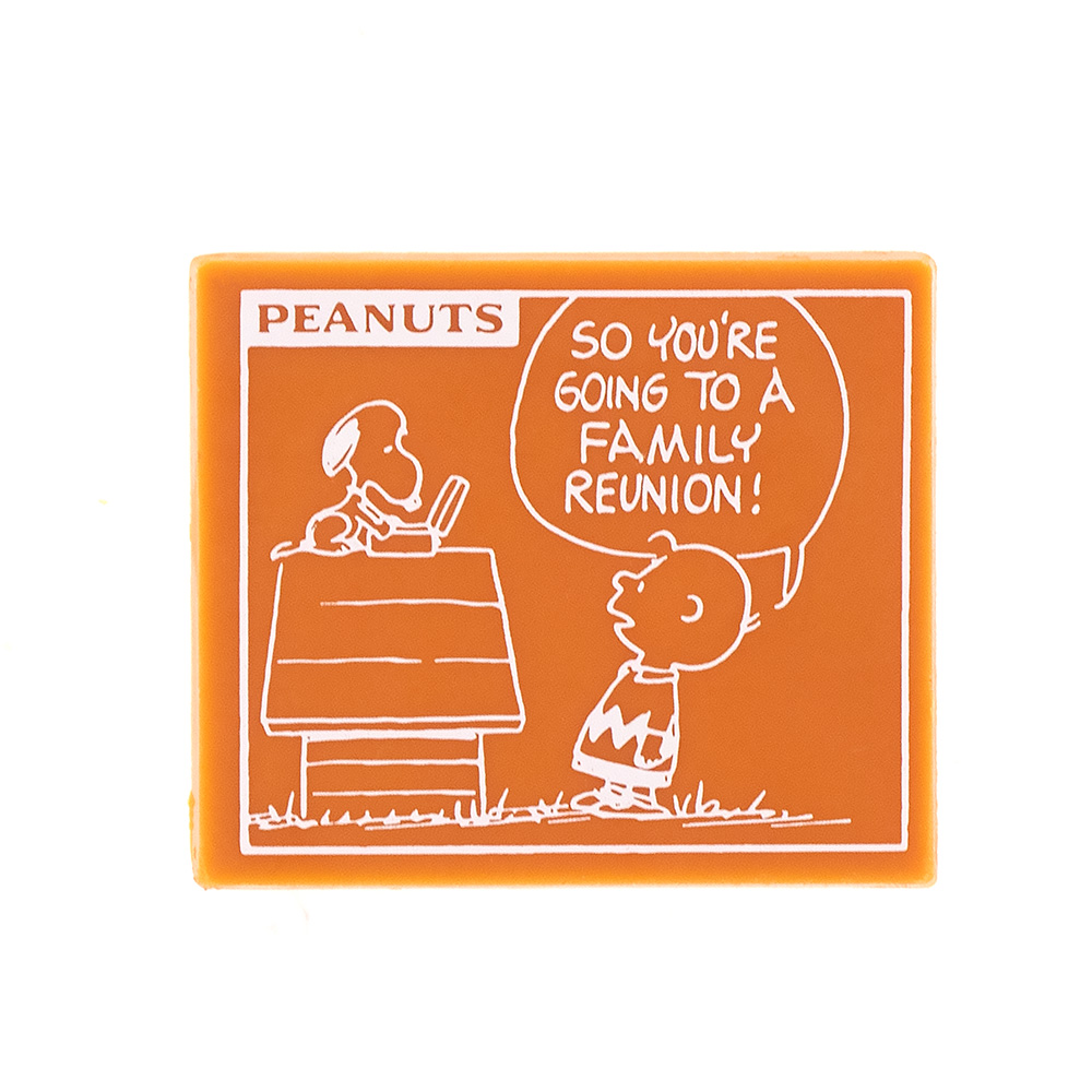 SC タブレット 家族愛 マンゴー風味