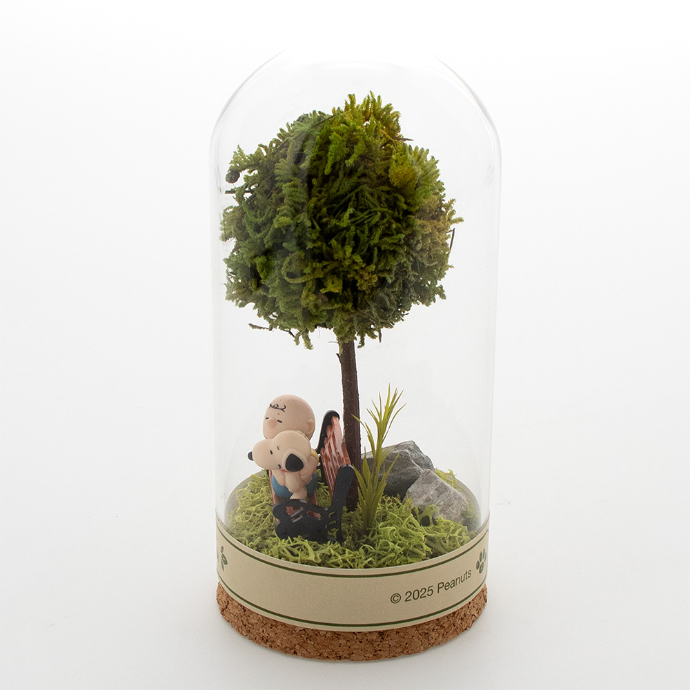 SNC 木漏れ日テラリウム大 ：デザイン: スヌーピー＆チャーリーブラウン