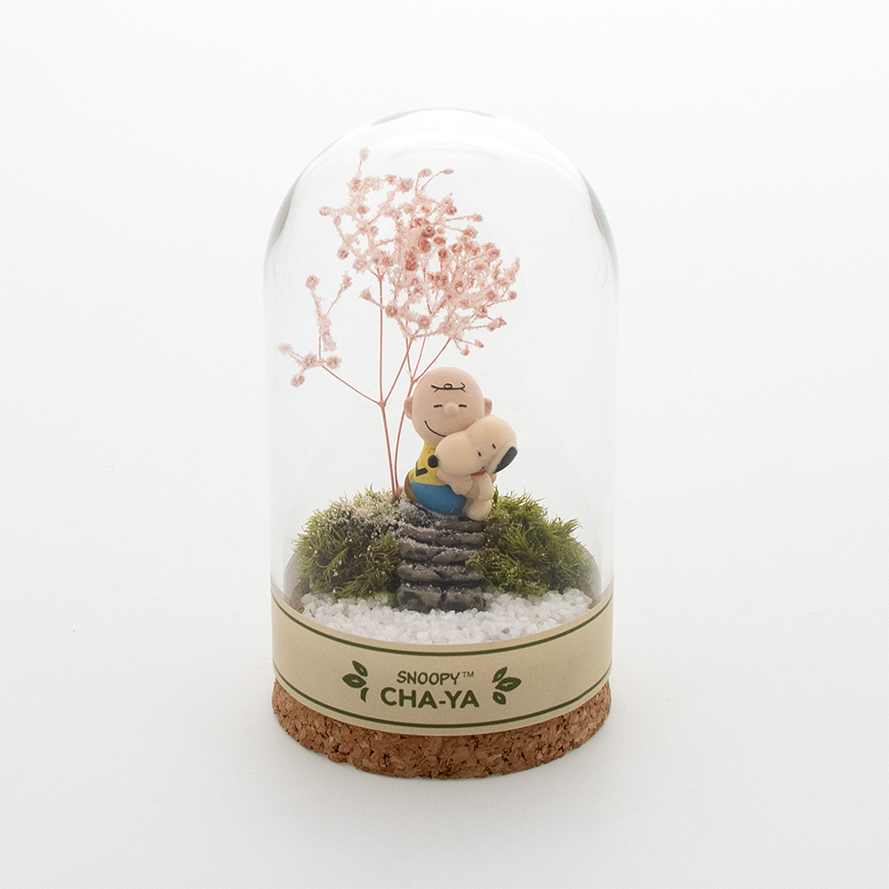 SNC 花見テラリウム小 ：デザイン: スヌーピー＆チャーリーブラウン