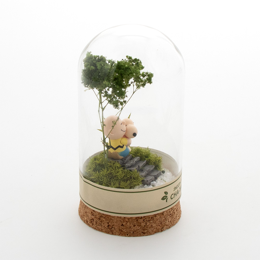 SNC 木漏れ日テラリウム小 ：デザイン: スヌーピー＆チャーリーブラウン