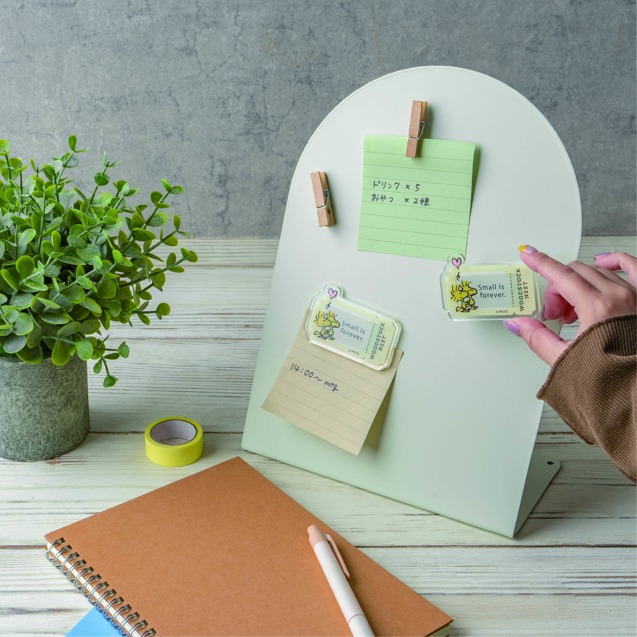 WSN アクリルマグネット 永遠