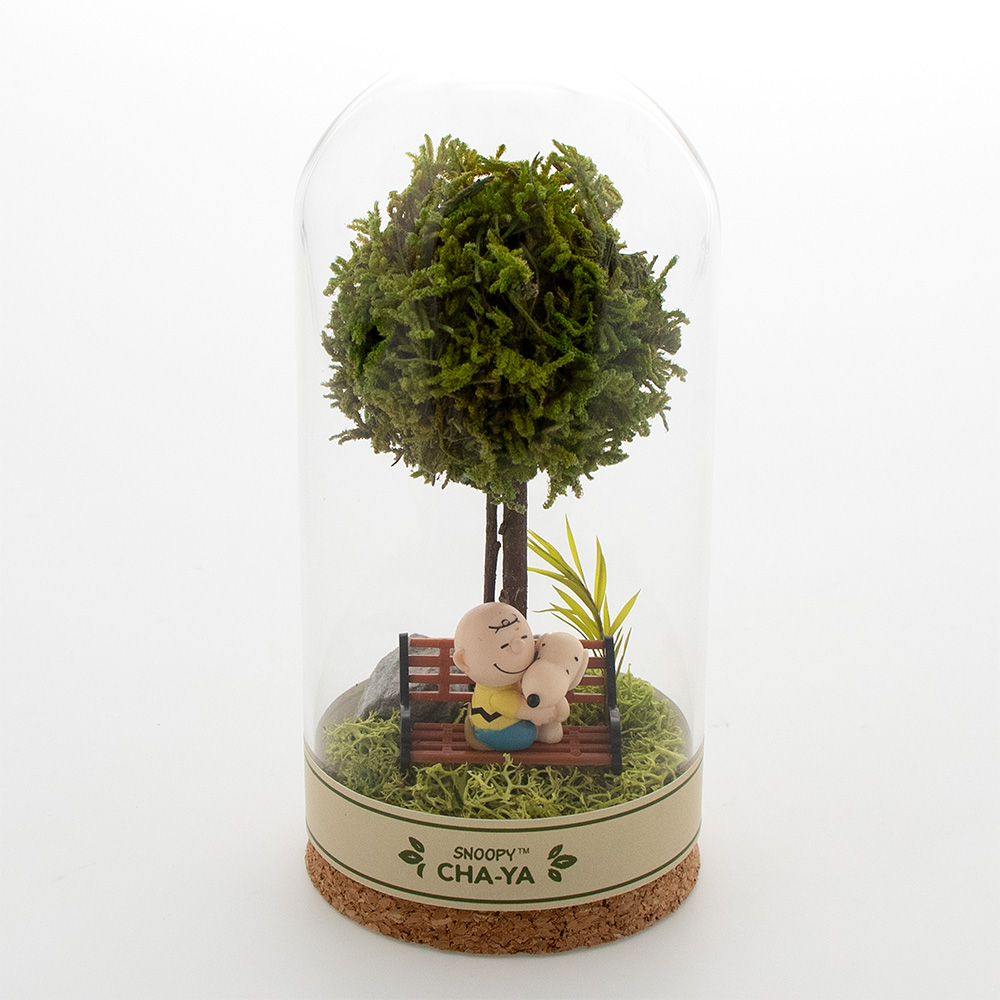 SNC 木漏れ日テラリウム大 ：デザイン: スヌーピー＆チャーリーブラウン