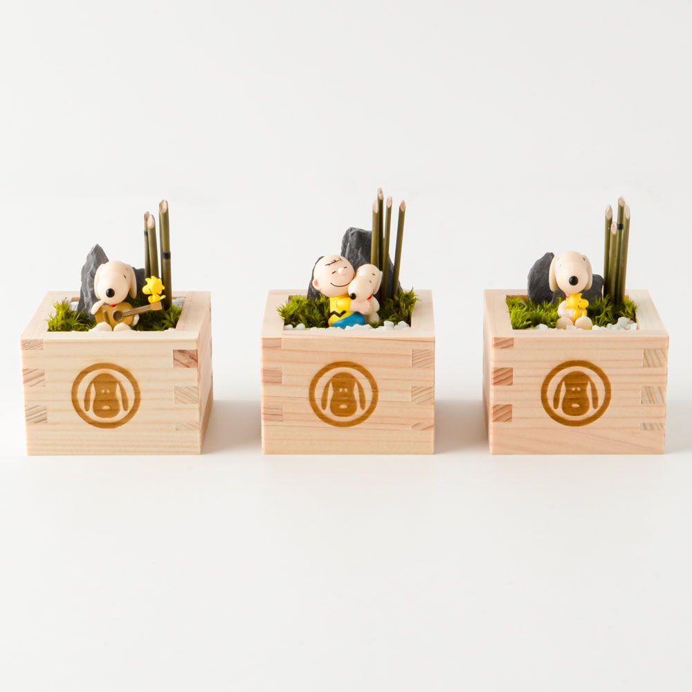 SNC 枡テラリウム 小