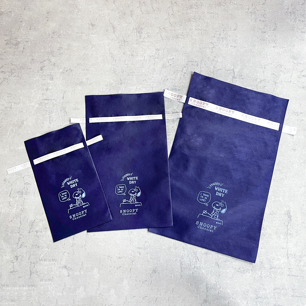 SC ホワイトデー ギフトラッピング(大)