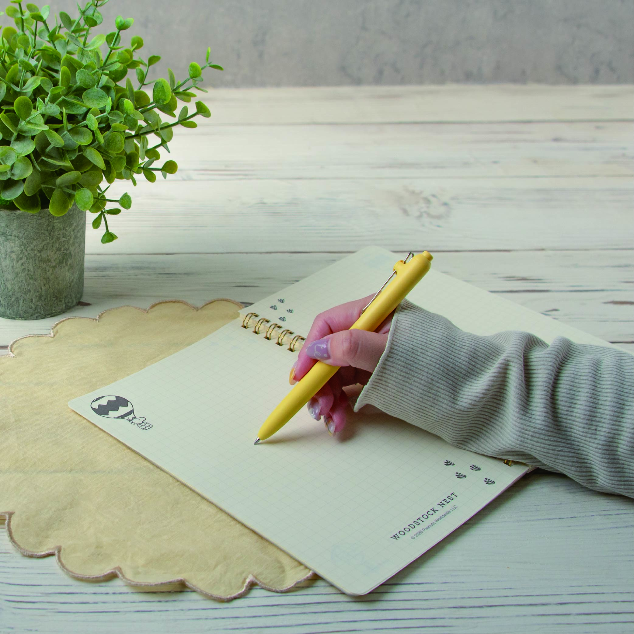 WSN A5リングノート 遊園地