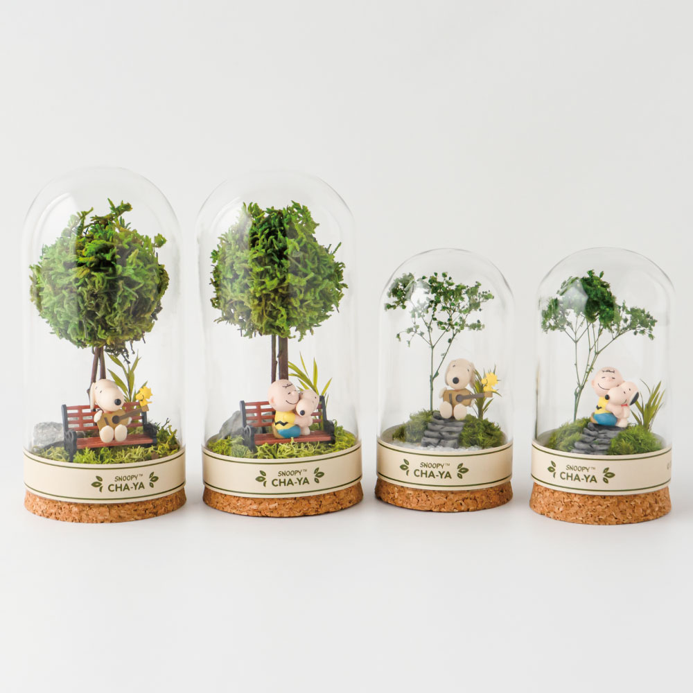 SNC 木漏れ日テラリウム大 ：デザイン: スヌーピー＆チャーリーブラウン