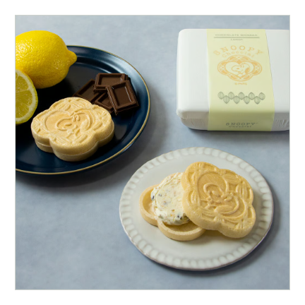 SC チョコレートもなか2個入れもん
