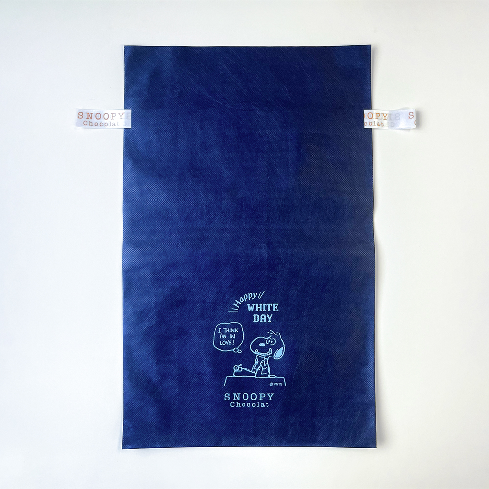 SC ホワイトデー ギフトラッピング(大)