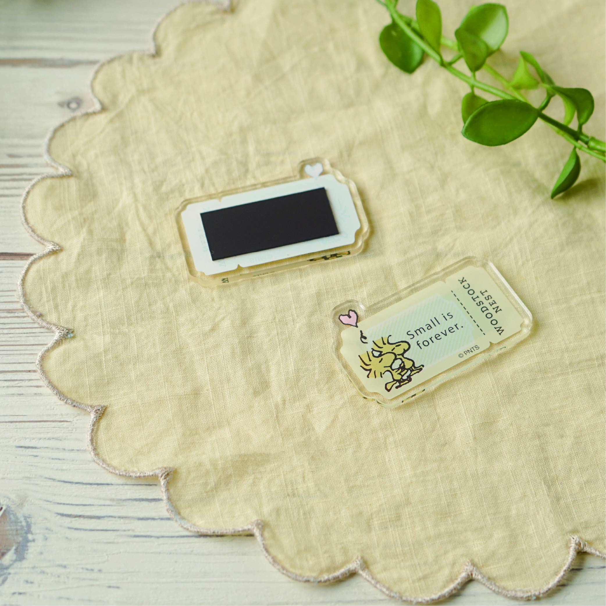 WSN アクリルマグネット 永遠