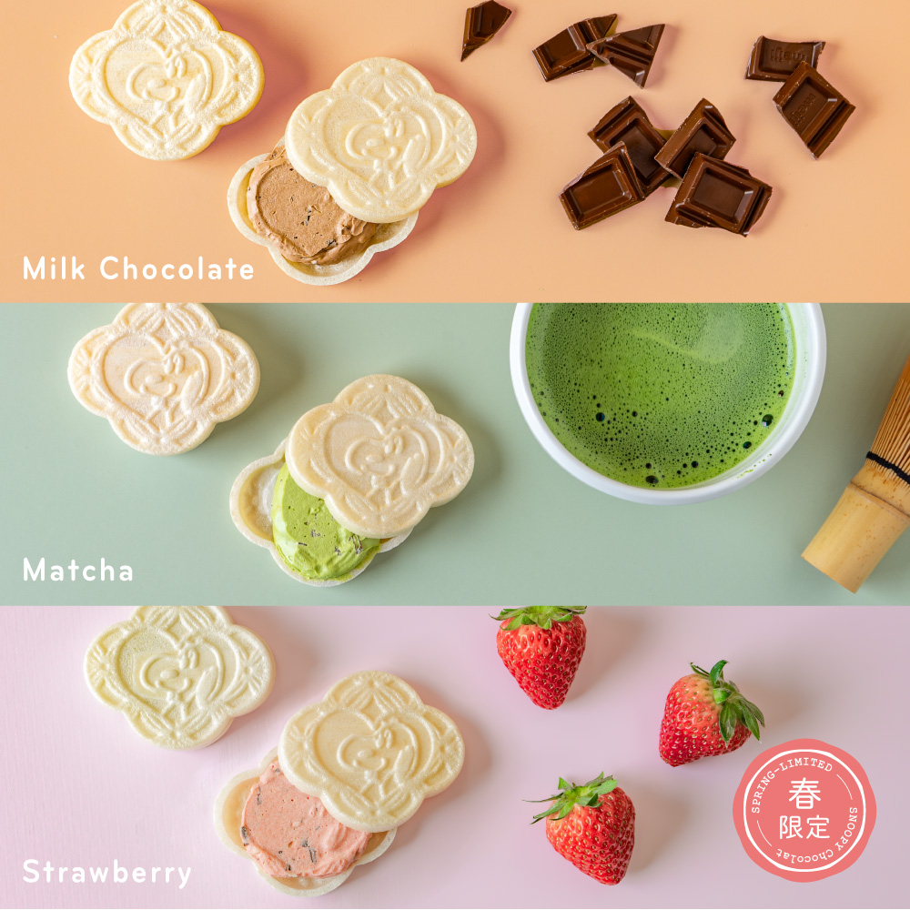 SC チョコレートもなか 6個入 SP