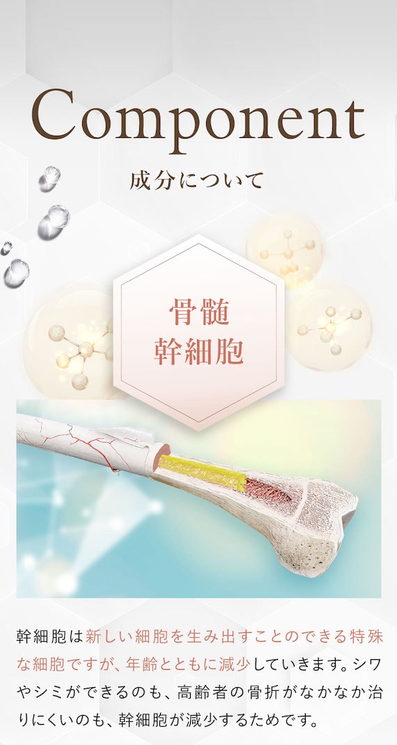成分について 骨髄幹細胞 幹細胞は新しい細胞を生み出すことのできる特殊な細胞ですが、年齢とともに減少していきます。