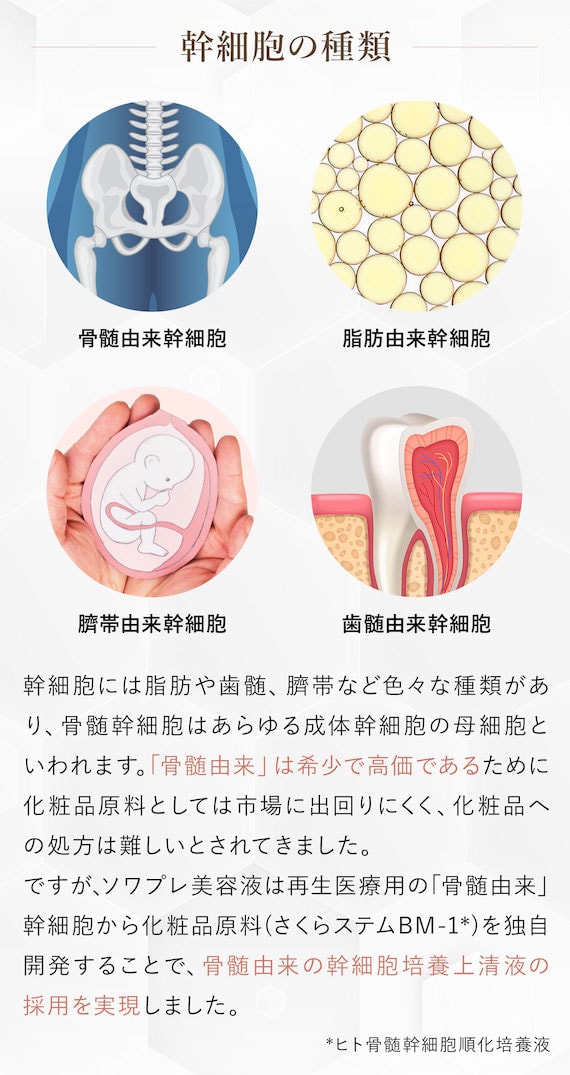 幹細胞の種類 骨髄由来幹細胞 脂肪由来幹細胞 臍帯由来幹細胞 歯髄由来幹細胞 ソワプレ美容液は再生医療用の「骨髄由来」幹細胞から化粧品原料（SakuraStem BM-1）を独自開発することで、骨髄由来の幹細胞培養上清液の採用を実現しました。