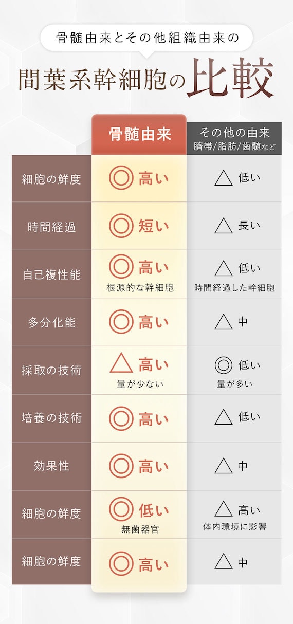 骨髄由来とその他組織由来の間葉系幹細胞の比較