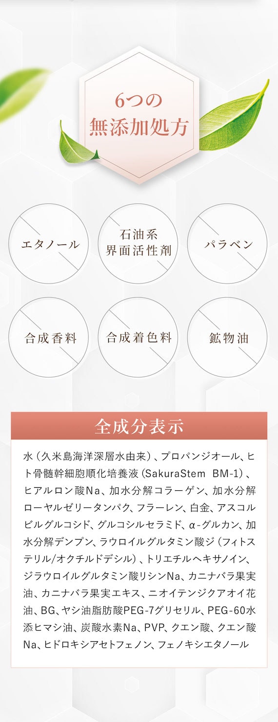 6つの無添加 エタノール 石油系界面活性剤 パラベン 合成香料 合成着色料 鉱物油