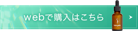 webで購入