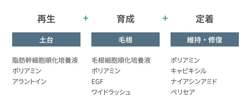 再生（土台）脂肪幹細胞順化培養液、ポリアミン、アラントイン + 育成（毛根）毛根細胞順化培養液、ポリアミン、EGF、ワイドラッシュ + 定着（維持・修復）ポリアミン、キャピキシル、ナイアシンアミド、ぺリセア