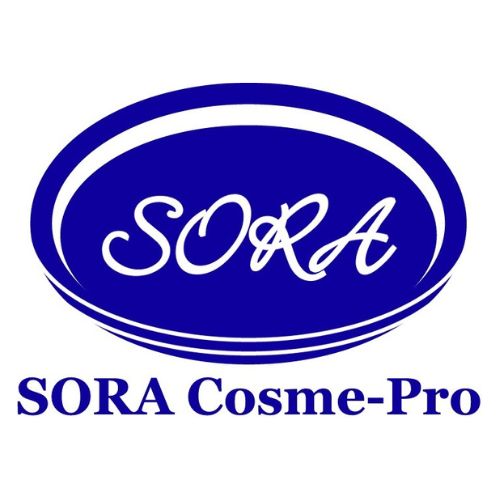 ニュース Sora様専用（使用期限2025年10月31日）VC セラム アドバンスド2