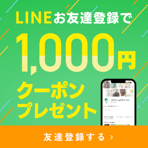 LINEお友達登録で1,000円クーポンプレゼント