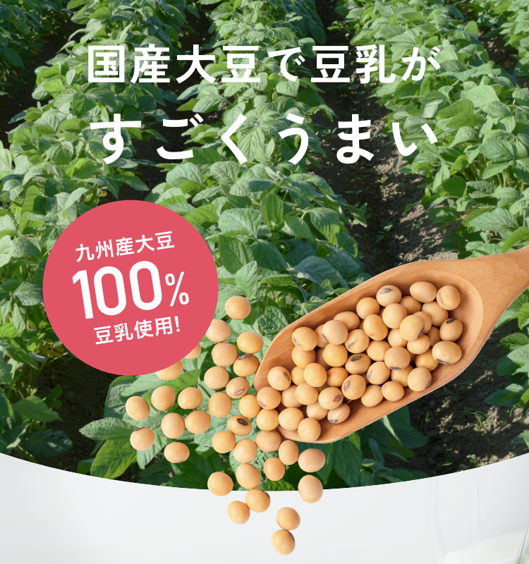 国産大豆で豆乳がすごくうまい｜九州産大豆100%豆乳使用