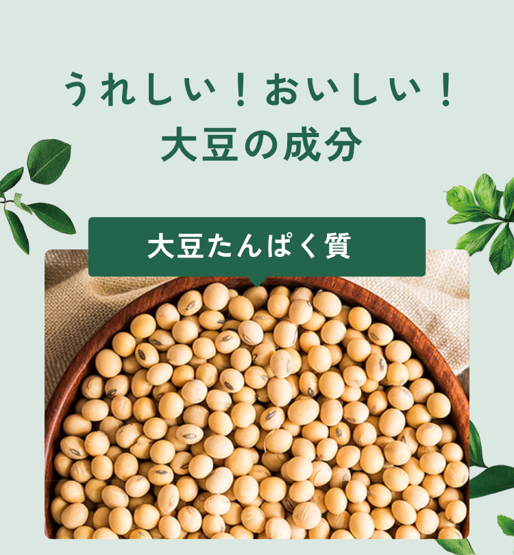 うれしい！おいしい！大豆の成分｜大豆たんぱく質