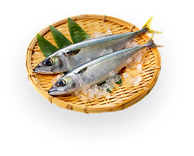 魚